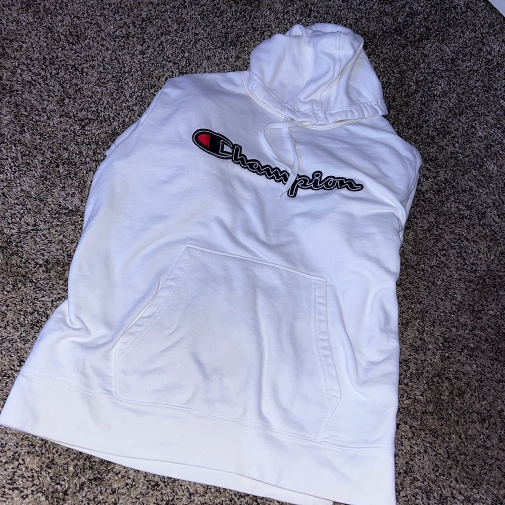 size L men’s champion hoodie!